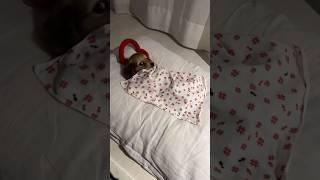 This is the cutest thing I’ve seen in my life ️️