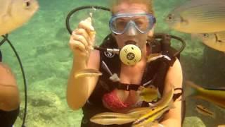 Dalış. Scuba Diving Turkey Antalya Kemer. Aquarium Tauchen.Аквариум подводного плавания 3