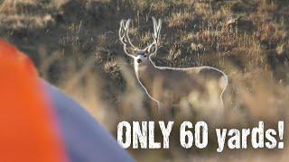 Mule Deer Hunting with Guy Eastman - Eastmans’ Hunting TV