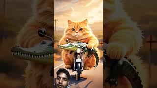 Ai animated Cat funny video #pets #funny#wildlife #cartoon  Anuj Kumar