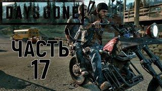 Days gone|Жизнь после прохождениеЧасть 17Лагерь Лост-Лейк.