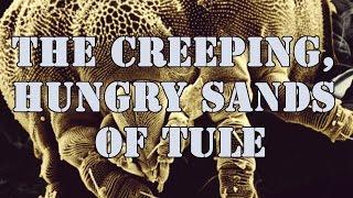 SCP-165 "The Creeping, Hungry Sands of Tule"