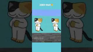 고양이 - Wait#wait #challenge