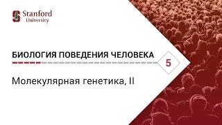 Биология поведения человека: Лекция #5. Молекулярная генетика, II [Роберт Сапольски, 2010. Стэнфорд]