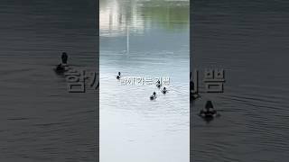 함께가야하는이유 #부동산 #부동산중개 #비지니스 #사업 #일상