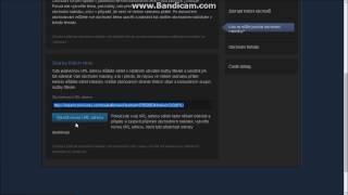 jak zjistit steam trade url