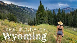 Wyoming: The Wild Camping Adventure You Need To Have