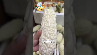 Top 5 White Fruits You’ve Never Seen Before!