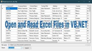 VB.NET Tutorial - Open and Read Excel files/ Import Excel file to DataGridView | FoxLearn