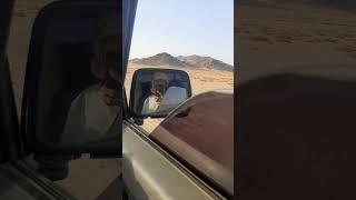 اسند ضهرك