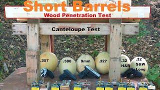 Short Barrel Wood and Cantaloupe Test - .32 Long, .32 H&R, .327, 9mm, .380 and .357 Magnum