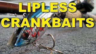 Lipless Crankbaits für Riesenbarsche! How To's, Tipps, Tackle und Techniken | Bass-Fischen