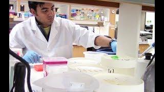 Baylor College of Medicine Cardiovascular Research Institute