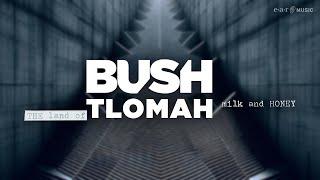 BUSH - The Land Of Milk And Honey (Official Video)