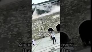 China fakes everything 60