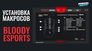 Как установить макросы на мышку A4Tech Bloody ES9 через BloodyEsports?