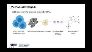 GOSH BRC Rare Disease Update - Dr Simon Eaton/ Dr Merry Wilkinson