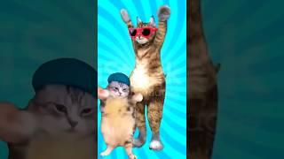 Cute Puppy and cat Dance 