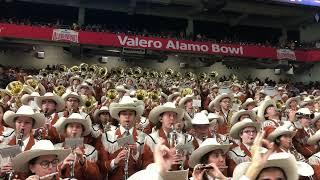 Mr. Brightside (Longhorn Band)