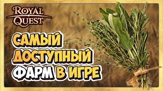  Royal Quest Фарм  Самый Лучший Фарм для Новичков. Где фармить новичку