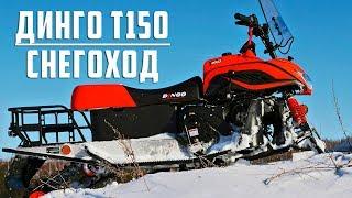 Динго Т150 снегоход производства 2018 года (тест драйв)