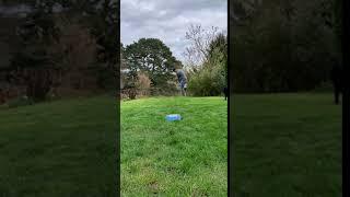 Garden Golf 2 - Tim Cowley Head PGA Professional Royal Ashdown Forest Golf Club