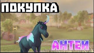 Покупка антеи!||Star stable Online