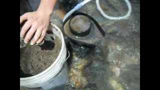 RCM Fluid Bed catches 99% of the Gold with Adam & Yankee Gold Prospecting Adventures.  Pt. 1of 2