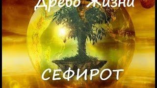 Древо Жизни (Сефирот)