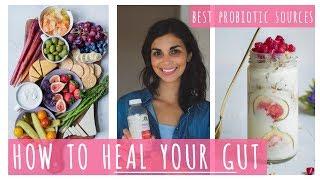 HOW TO HEAL YOUR GUT ON A VEGAN DIET | best probiotic foods