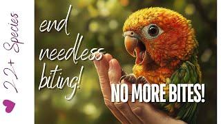 Conquer BITING! Teach Your Baby Parrot Not To Bite | #parrot_bliss #parrot