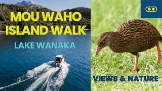 Discover the hidden bird species on Mou Waho Island - Water Taxi + Nature Trail