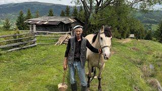 He Lives Alone in the Mountains with His Horse | Off Grid Grandpa Life in the Carpathians