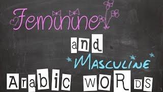 Feminine and Masculine Words in Arabic | Arabic Grammar
