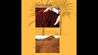 Indonesia Exporter of Coconut Fibre/Coir, Coco Peat, Broomstick and Coconut Derivative Product