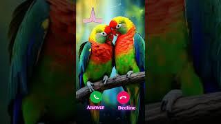 #ringtone #smartphone #ringtones