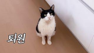 Dongseok Is Back After a Month Away