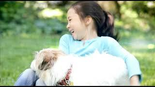 The Science of Healthier Animal video