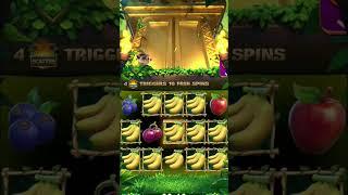 #jungle delight #jungle delight tips and tricks #jungle delight super win #yonorummy  #yononewgames