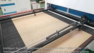 double gantry CO2 laser cutting machine with feeding system