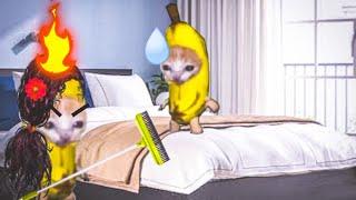 Banana cat  series Epic Episode | happy and banana cat #bananacat #happycats