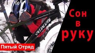 Сон в руку