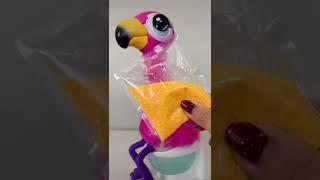 Funny toy Gotta Go Flamingo that poops!  #shorts