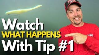 The BEST Texas Rig Tips I Know - Immediate Impact