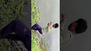 catfish  #shorts #fishing #catlafish #shortvideo