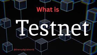 what is Testnet? how to make money doing Testnet