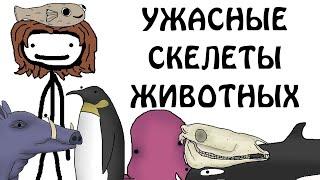 "ТОП 10 самых ужасных скелетов животных" - Академия Сэма О'Нэллы (Русская Озвучка Broccoli)