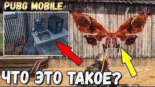 ГДЕ НАЙТИ НОВЫЕ ПАСХАЛКИ В PUBG MOBILE. КАК ВЫПОЛНИТЬ СЕКРЕТНЫЕ МИССИИ