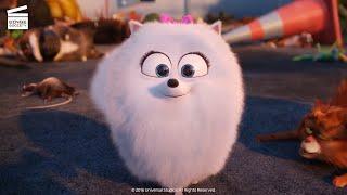 The Secret Life of Pets: Saving Duke (HD CLIP)