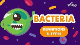 Bacteria: Definition & Types | Primary School Science Animation